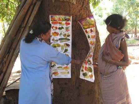 Tribals India Orissa