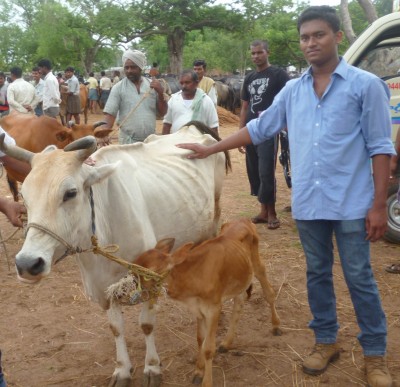 In the last 2 years Vasu showed great interest in our cow, goats and garden project